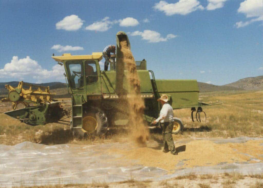 Combine & Crested Wheatgrass