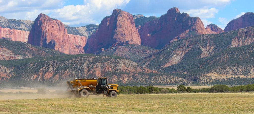 Dryland Pasture Mix