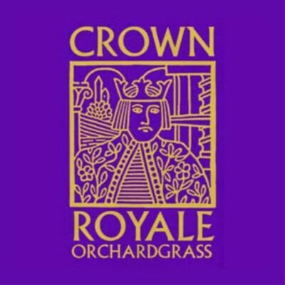 Crown Royal Orchardgrass (Dactilis glomerata)