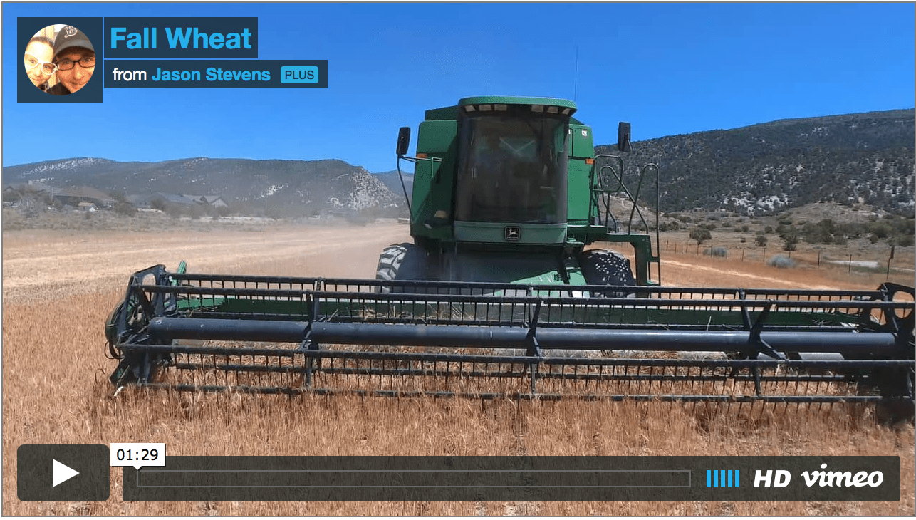 New Combine at Great Basin Seed