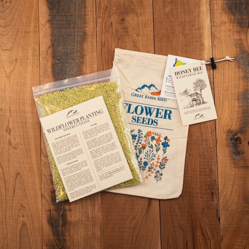 wildflower seed packet