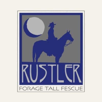 rustler-tall-fescue, Festuca arundinacea