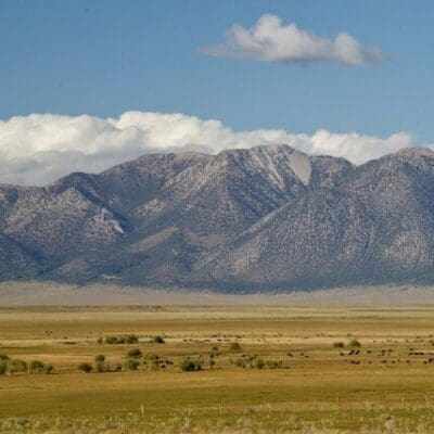 Pasture Mix, Pasture Grass