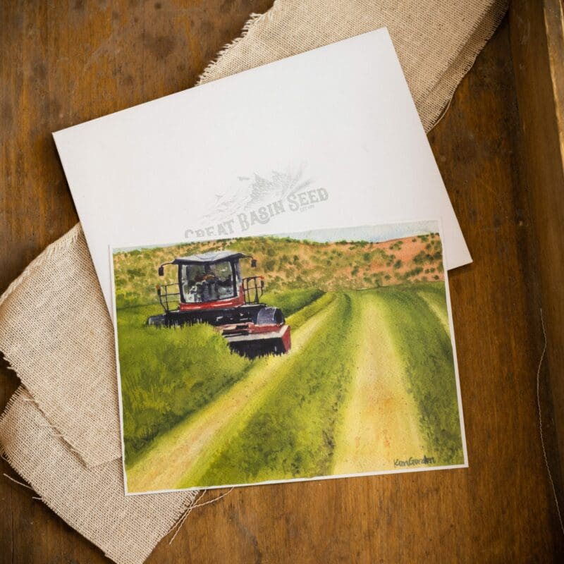 Swather cutting our Prosper 3-Grain Forage Blend Postcard