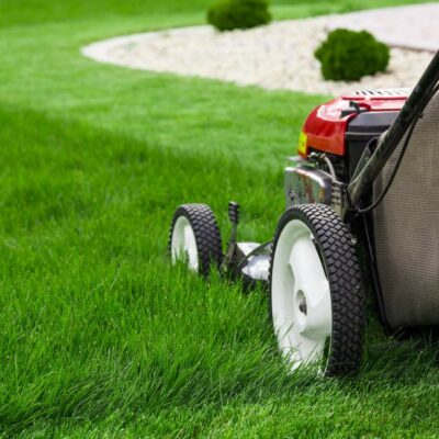 Emerald Elite Lawn and Turf Mix