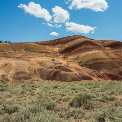 Steppe Restoration Mix