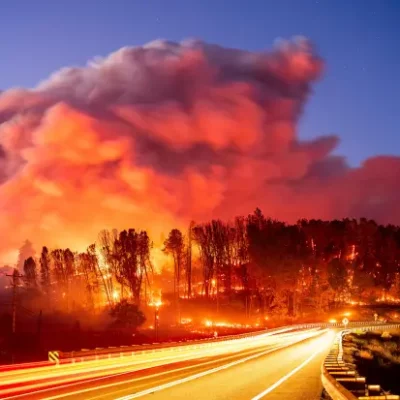 Parks Fire Restoration Mix