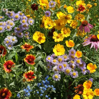 Bee Feed Mix